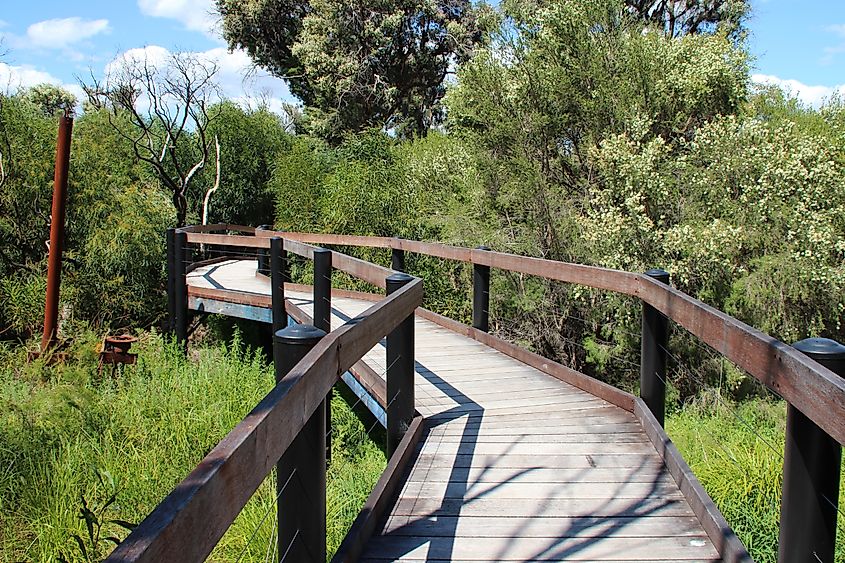 A trail through the Yanchep National Park near Gingin in Western Australia.