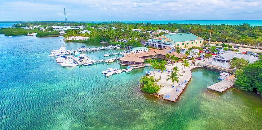 The coastline along Islamorada.