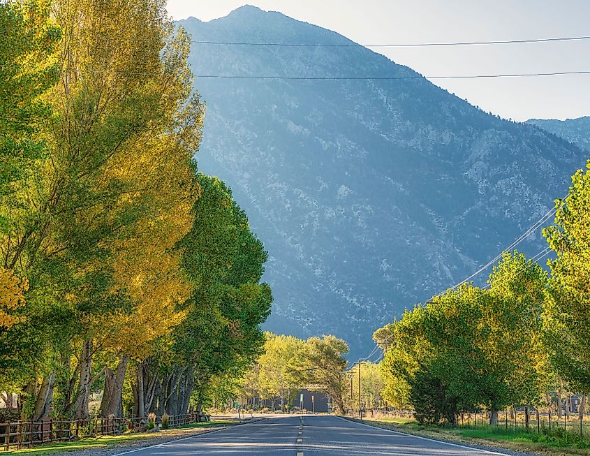 Scenic road winding through a lush, green park near the base of picturesque mountains in Gardnerville, Nevada.