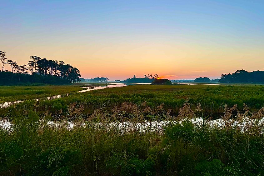 Chincoteague Sunrise Image credit Bryan Dearsley