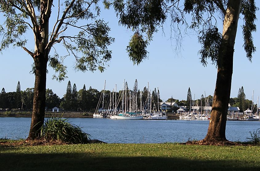 View of boats at the Gladstone Marina framed by trees in Queensland, Australia