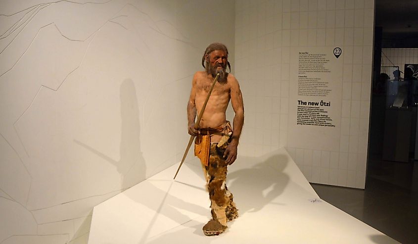 Reproduction of Oetzi the Similaun Man in the South Tyrol Museum of Archaeology in Bolzano, South Tyrol, Italy