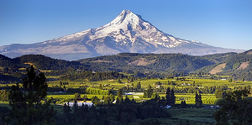 Mt. Hood from Panorama Point in Hood River, Oregon.