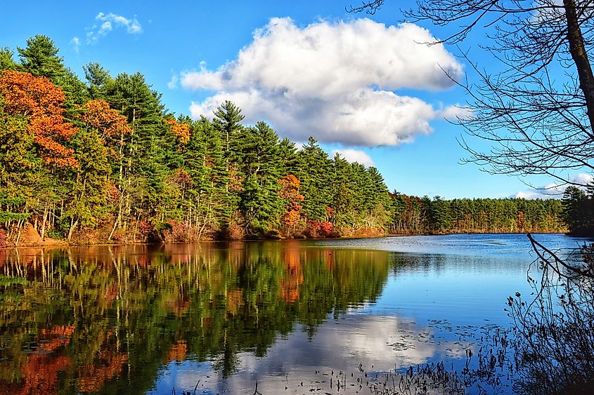 Tarbox Pond in West Greenwich, Rhode Island, sporting fall colors.