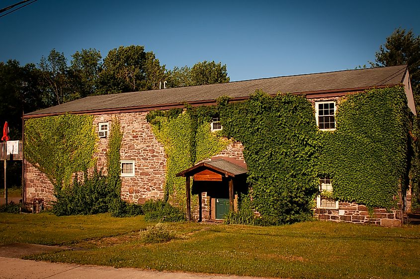 Ivy taking over a building in White Haven, Pennsylvania