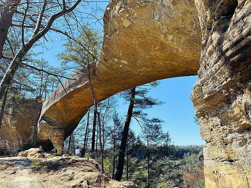 Sky Bridge in Kentucky's Red River Gorge