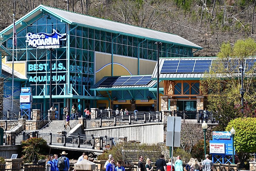 Ripleys Aquarium of the Smokies in Gatlinburg, Tennessee