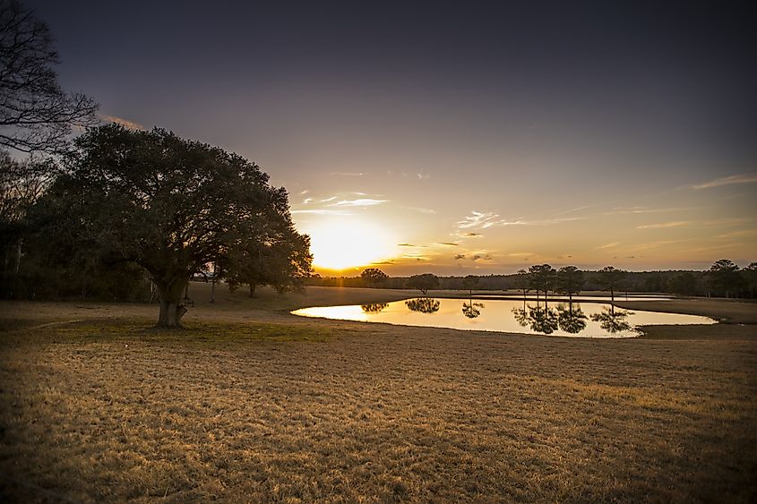 A serene sunset over a rural lake in Lucedale, Mississippi