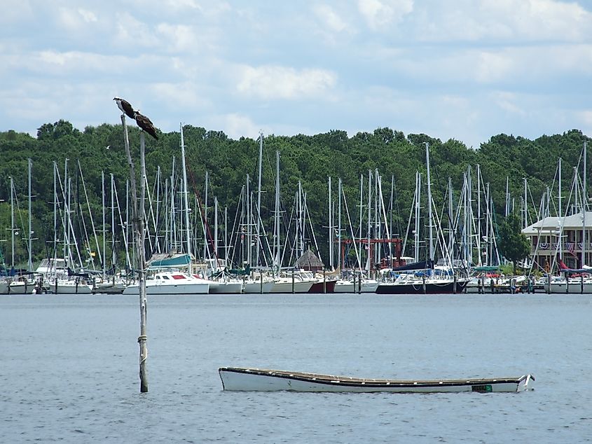 Rock Hall, Maryland. In Wikipedia. https://en.wikipedia.org/wiki/Rock_Hall,_Maryland By Captain Bluecrab - Own work, CC BY-SA 3.0, https://commons.wikimedia.org/w/index.php?curid=17619628