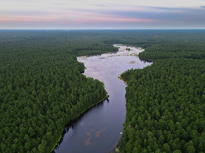 Aerial Photograph of the New Jersey Pine Barrens and Mullica River