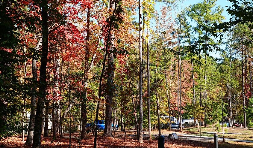 View of Lake Norman State Park in the fall.