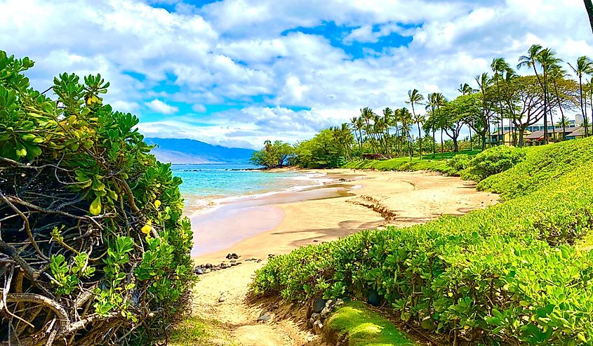 Pathway to Maui's Wailea Beach.