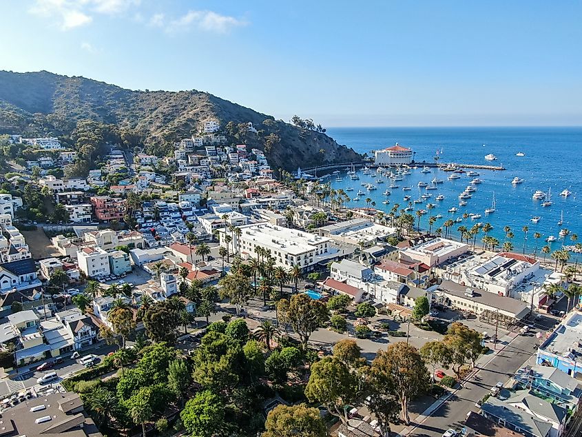 Aerial view of Avalon downtown and bay with boats in Santa Catalina Island, famous tourist attraction in Southern California