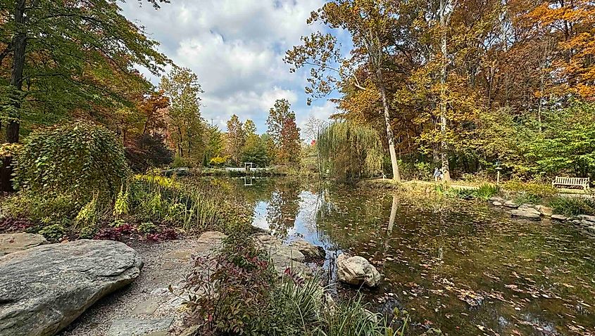 Edith J. Carrier Arboretum and pond photo by Bryan Dearsley