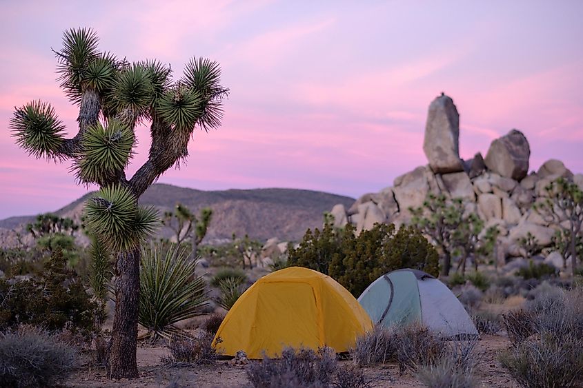 Tents in the Joshua Tree National Park.