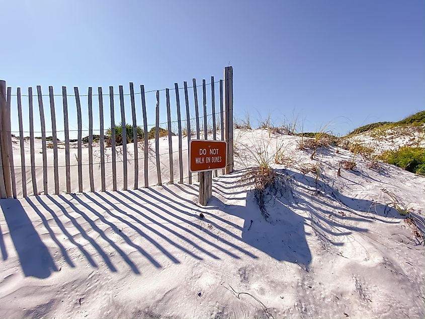 White sand dunes at Grayton Beach State Park in Florida