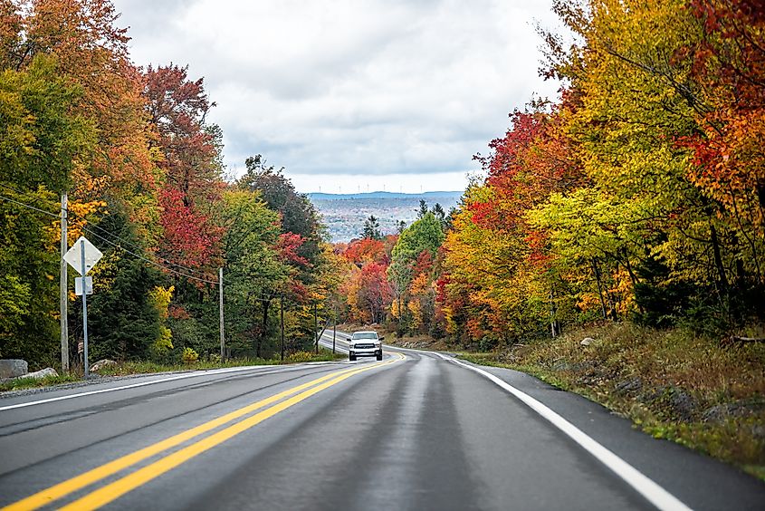 Canaan valley near Davis, West Virginia 