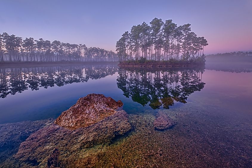 Dawn at Long Pine Key Lake in Everglades National Park near Homestead, Florida.