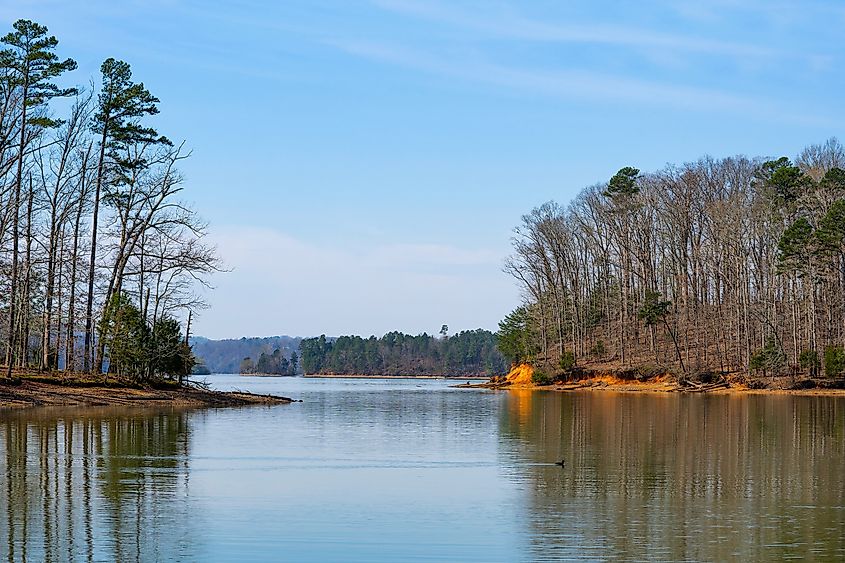 View of the Chickamauga Lake shoreline.