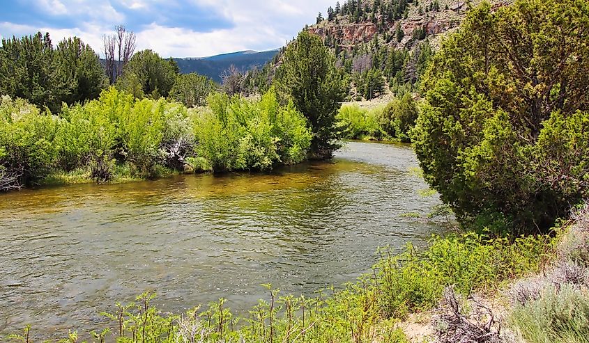 Wind River in the Summer Near Dubois Wyoming.