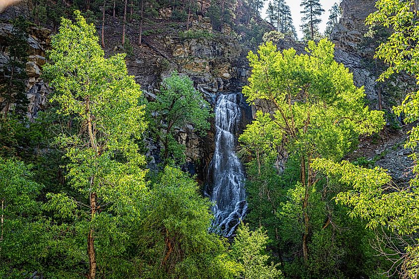 Bridal Veil Falls, a 60-foot waterfall along the Spearfish Canyon Scenic Byway in the Black Hills National Forest