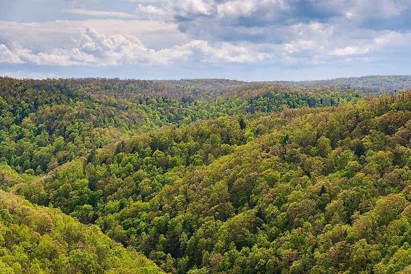 Aerial view of the Big South Fork National River and Recreation Area in Kentucky.