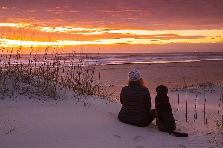 Girl and dog sitting on sand dune watching the sunrise in Salvo, North Carolina on the Outer Banks.
