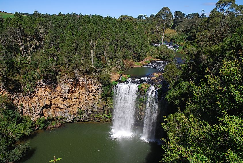 Dangar Falls at Dorrigo National Park.