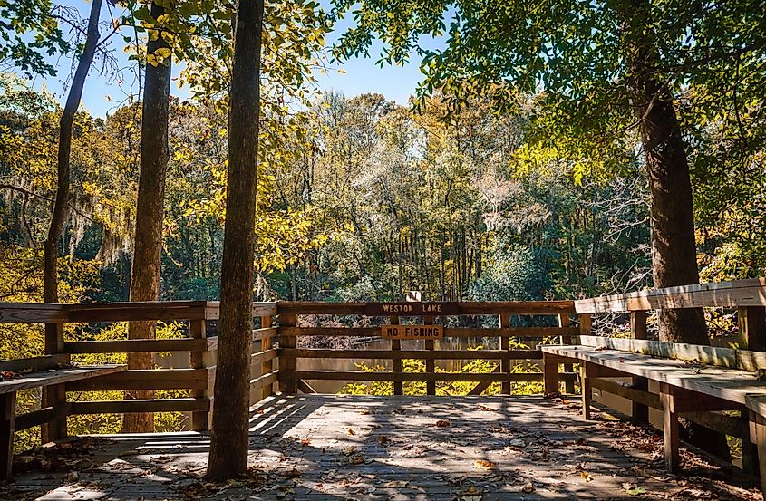 Congaree National Park, an International Biosphere Reserve