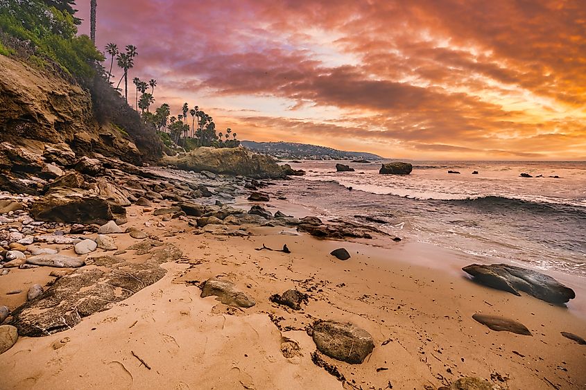 Rocky Laguna Beach shoreline with palm trees.