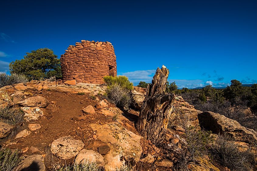 Cave Towers in Bears Ears National Monument. 