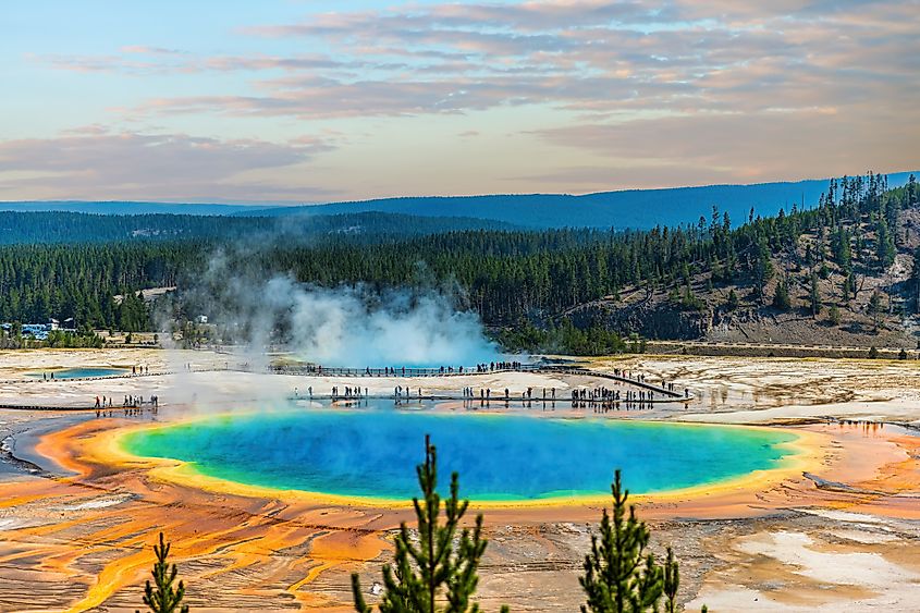 The Grand Prismatic Spring in Yellowstone National Park, Wyoming.