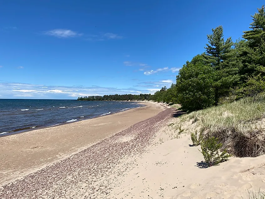 A wild Lake Superior beach backed by modest dunes and full forests.