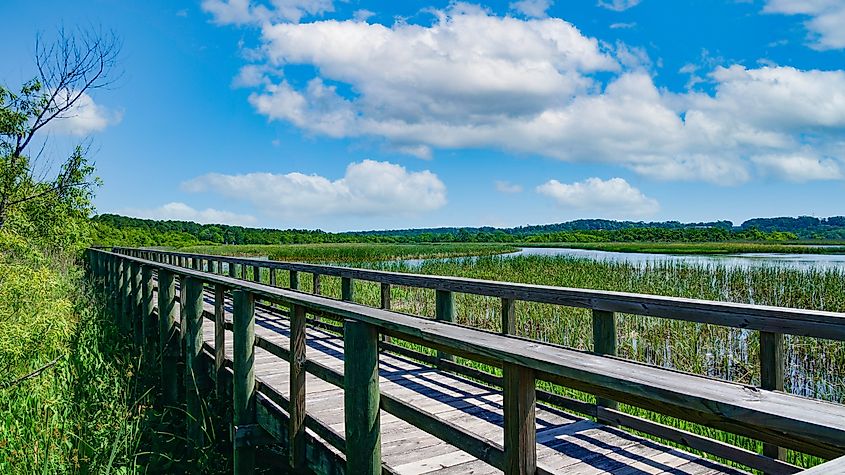 Meaher State Park in Mobile Bay, Alabama, within the city limits of Spanish Fort, featuring bay and delta landscapes.