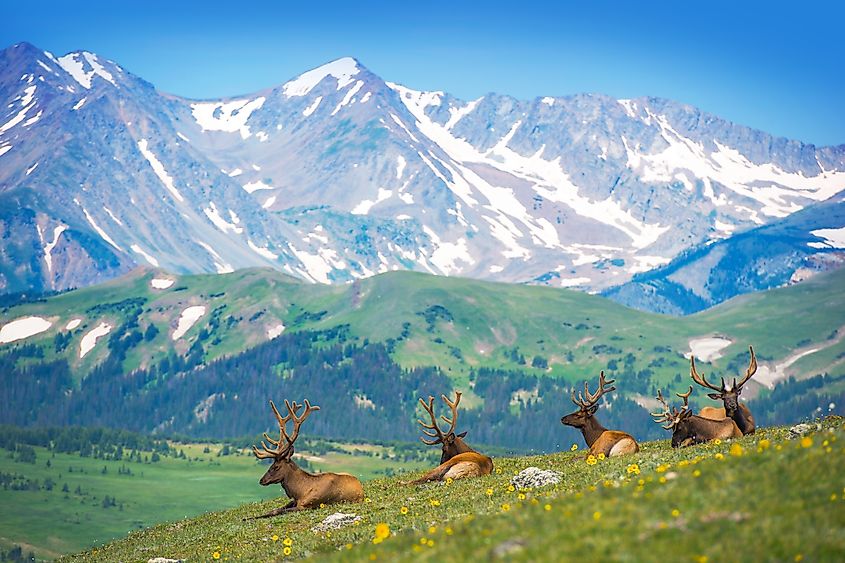 Estes Park, Colorado.