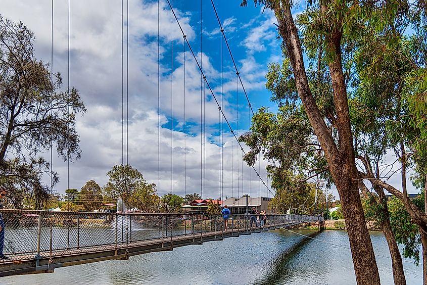 Stretching across the Avon River in Northam, the Suspension Bridge is one of the longest pedestrian bridges in Australia.