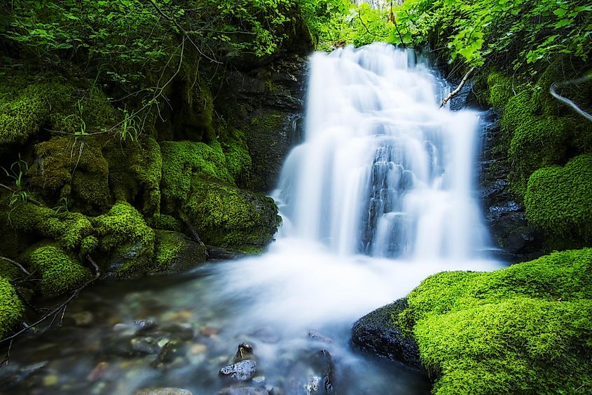 This is a small waterfall located next to a cabin in Columbia Falls, Montana.