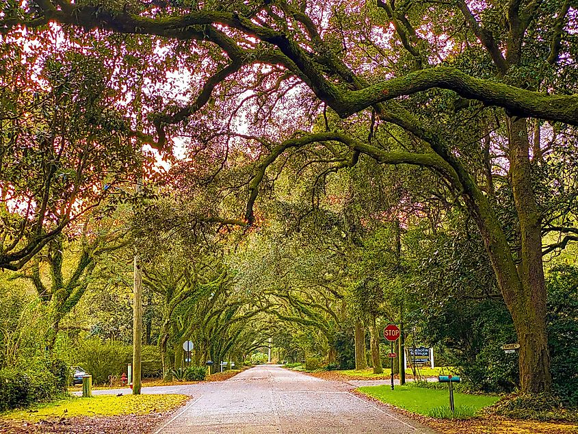 Sun set time on Oak Street , Magnolia Springs , Alabama