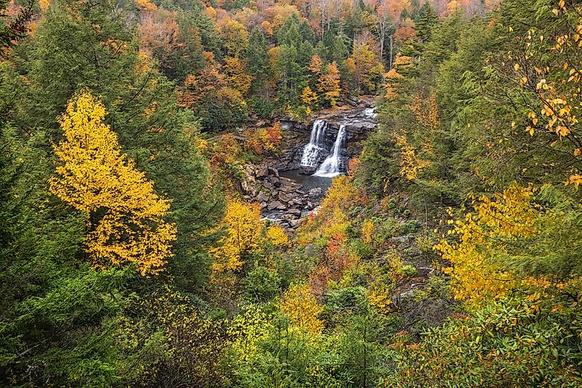 Blackwater Falls enveloped in fall foliage at the Blackwater Falls State Park.