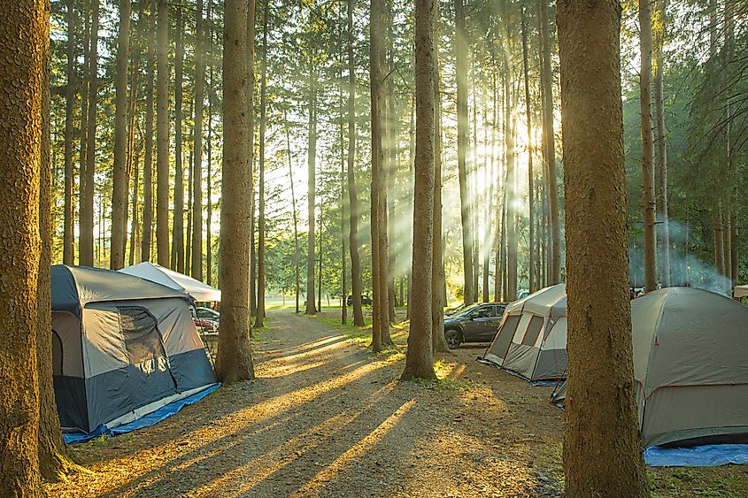 Copake Falls, New York, USA - June 10th 2022: Camping tents in the campground at Taconic state park with beautiful sunlight, via JaysonPhotography / Shutterstock.com