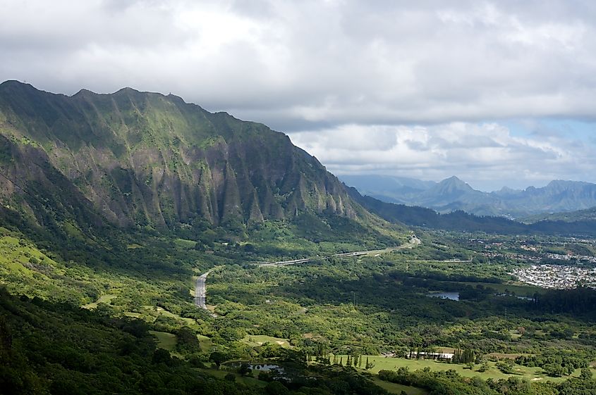 Koolau forest reserve, Maui