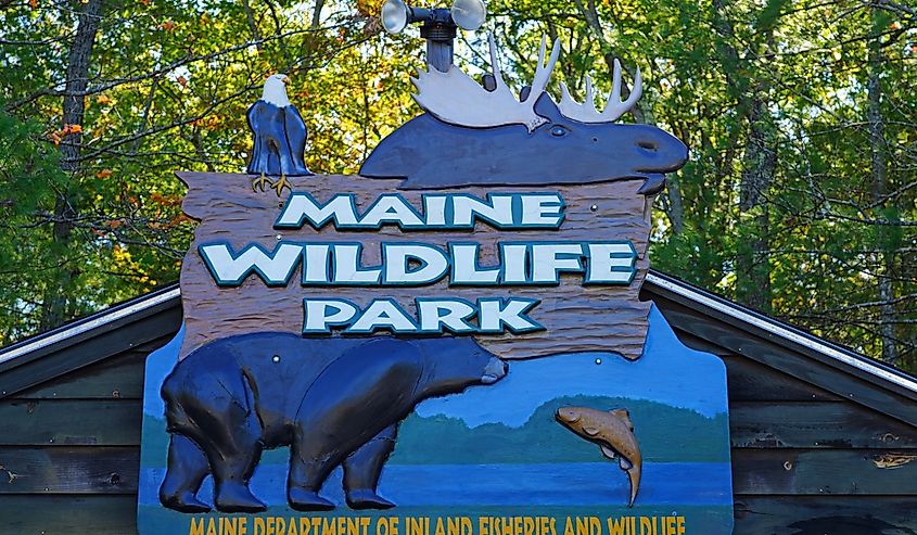 View of the Maine Wildlife Park, a sanctuary ran by the Maine Department of Inland Fisheries and Wildlife located in Gray, Maine