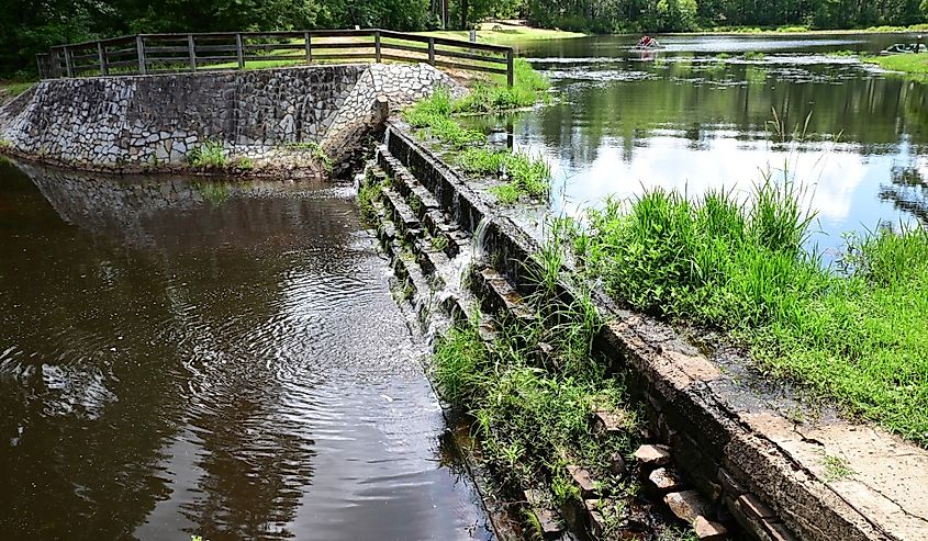 Summer at Barnwell State Park, Blackville, South Carolina.