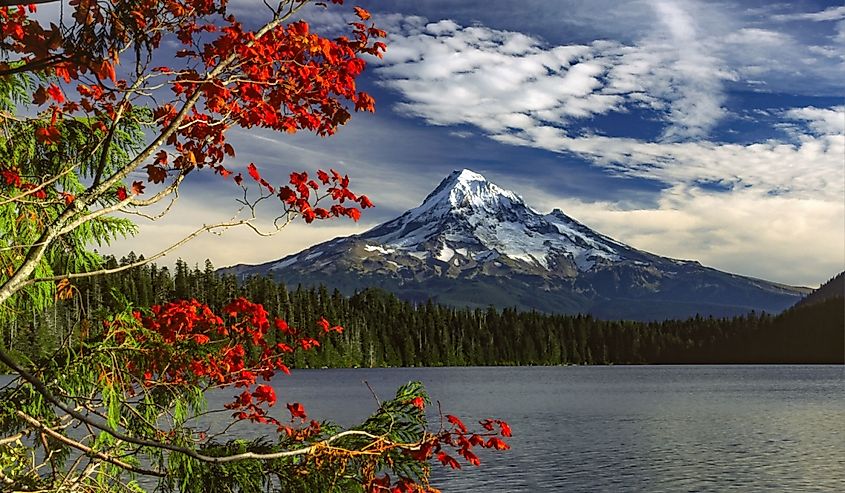 The beautiful fall color leaves at Lost Lake, Oregon