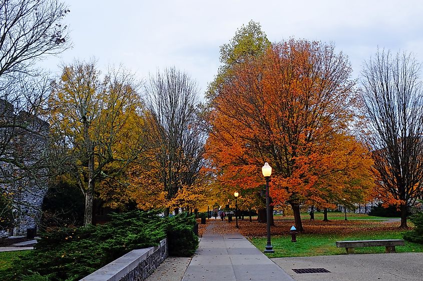 Fall color tree leaves with maroon and orange at Virginia Tech college, tier I university in Virginia, USA.