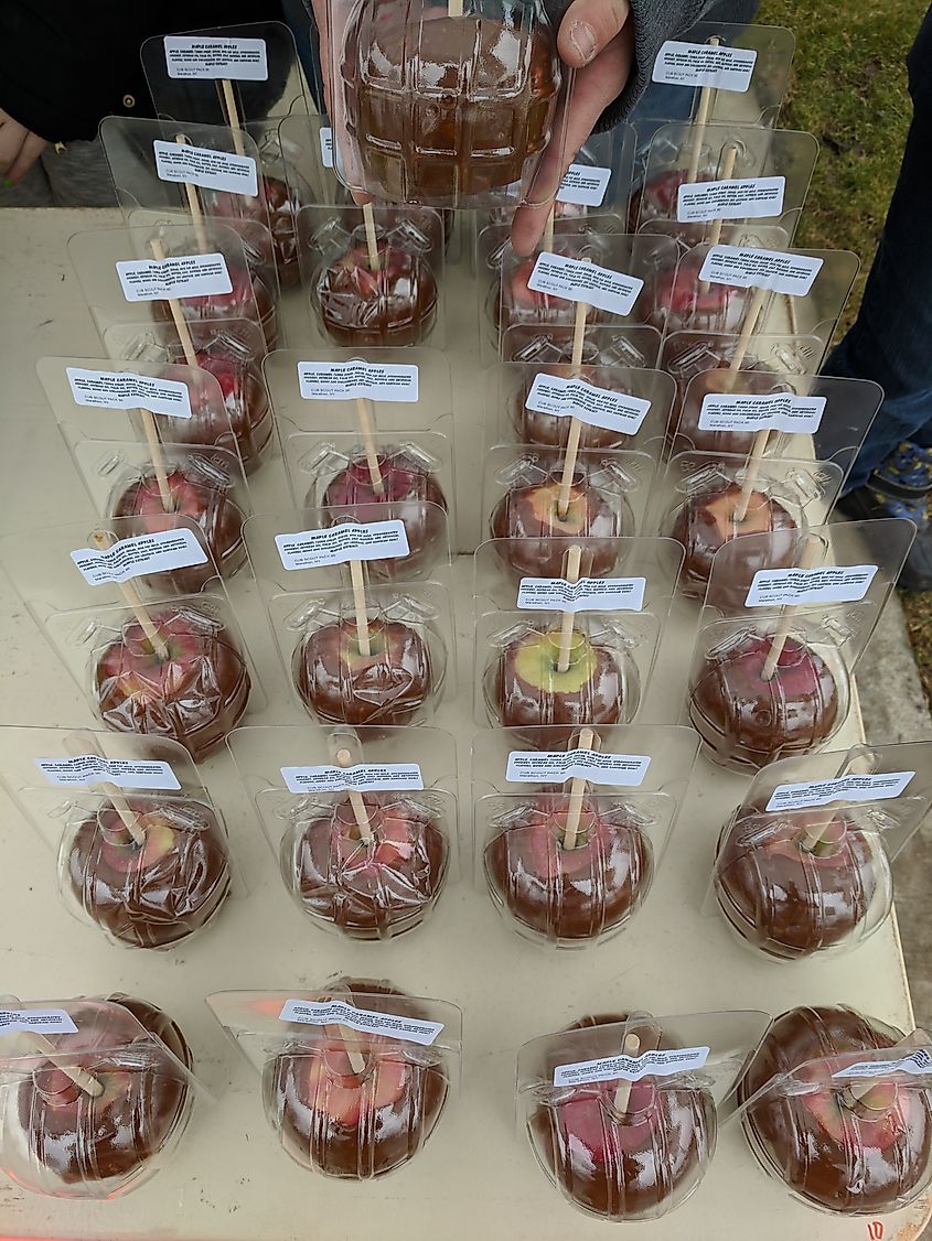 Candied apples at the ​​49th CNY Maple Festival 2019 in Marathon, New York. Image Credit DanielPenfield via Wikimedia.