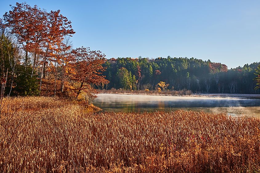 A serene, foggy river in late fall within the Huron-Manistee National Forests in Michigan.