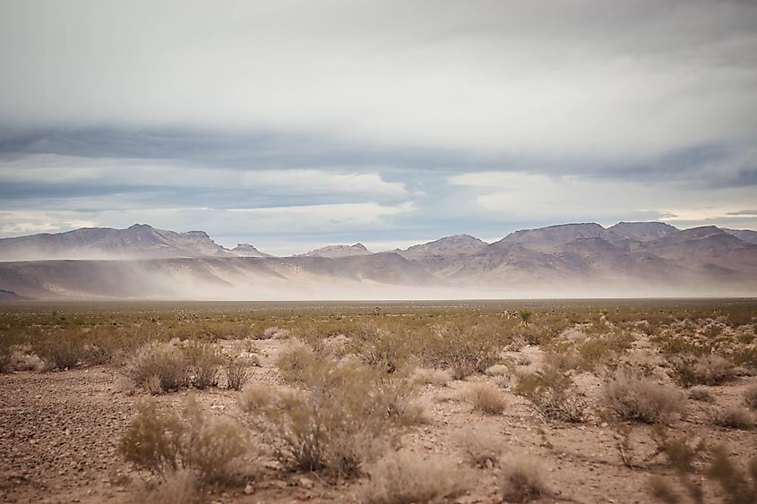 A cloudy day in the rural Nevada desert.