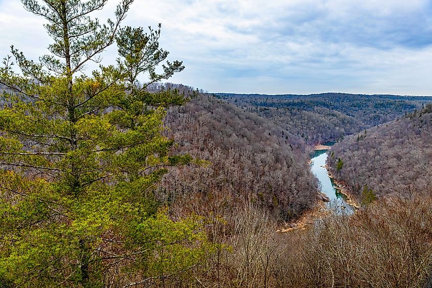 Panoramic view of Big South Fork National River and Recreation Area from Sunset Overlook Trail