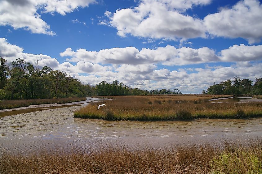 Davis Bayou, Gulf Islands National Seashore, Mississippi.